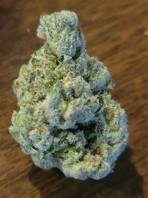 THC: 28% - 30%. Jealousy is an evenly balanced hybrid strain (50% indica/50% sativa) created through crossing the delicious Gelato 41 X Sherbet strains. The perfect well-balanced hybrid strain, Jealousy packs full-bodied effects that will have you feeling totally kicked back for hours on end. You'll instantly feel lifted with a happy sense that ....