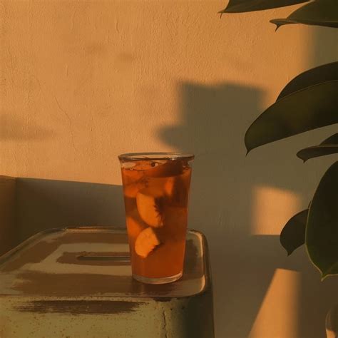 Iced tea aesthetics. Long Sleeve T-Shirts with your favorite Anime, Vaporwave, Dark Aesthetics, Japanese Aesthetics and Iced Tea designs. Skip to content [FREE SHIPPING] All Orders Over $99 (USD) 