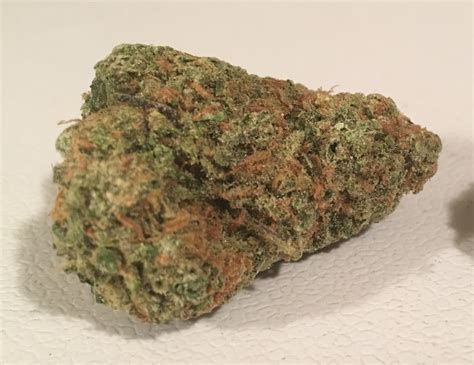 Iced widow strain. The Gorilla x White Widow strain is a feminized marijuana strain from Expert Seeds, which performs exactly like an Indica strain. Its 80% Indica content lends the cannabis buds to a heavy sedative effect, including euphoria and relaxation. Gorilla x White Widow has an earthy smell that mixes with subtle sour notes, brought to life via its short flowering parent strains. 