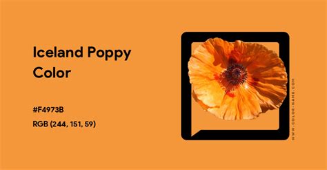 Iceland Poppy color hex code is #F4973B - Color-Name.com