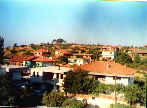 Icikler Halı ve Koltuk Yıkama