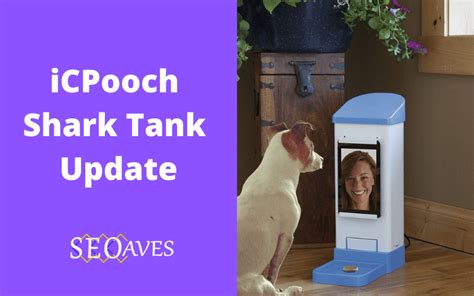  iCPooch Net Worth. iCPooch was valued at $750,000 when it appeared on Shark Tank in April 2015. The company’s net worth is unknown as of 2022 since the company went out of business in 2017. iCPooch was founded by Brooke Martin and James Pelland in 2012. . 