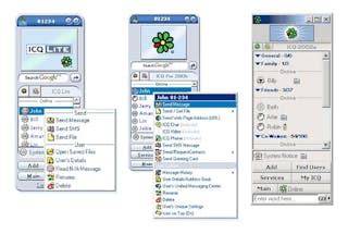 Icq 2003b.  The first and last ICQ Pro version.  Does 2003b still work ...