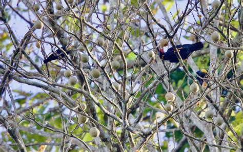 🍑 Id: Lifer07 Leaked [CLIP]