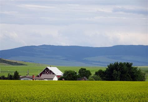 Idaho Farm & Ranch Directory - Idaho Department of Agriculture