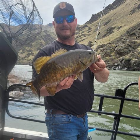 Idaho Fish Reports