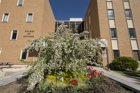 Idaho State University College of Business