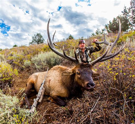 Idaho controlled hunt draw results. Hunters who applied in the second controlled hunt drawing for elk, ... Idaho's second controlled hunt draw results now online. Idaho Fish and Game; Aug 20, 2015 Aug 20, 2015; 
