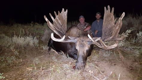 Idaho moose draw results. Mar 8, 2023 · Note: As of February 10, 2023, the new 2023 Idaho regulations, season dates, and hunt codes have not yet been published (Big Game Seasons and Rules).The big game application period for moose, sheep, and mountain goat begins around April 1, 2023, ends April 30, 2023, (tentative) with draw results available by the middle of May. 