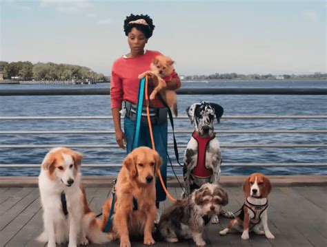 Idara victor commercials. Real-Time Video Ad Creative Assessment. Check out Liberty Mutual's 30 second TV commercial, 'Dog Walker' from the Auto & General industry. Keep an eye on … 