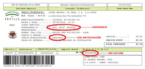 Identificació de conductor/a. Servei Públic d