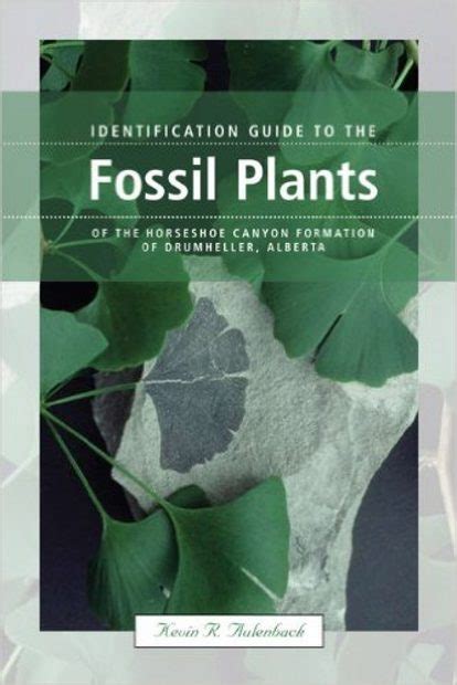 Identification guide to the fossil plants of the horseshoe canyon formation of drumheller alberta. - User guide 306 xr 1 8.