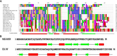 Identification of Orbivirus Non-Structural Protein 5 (NS5 ... - PubMed