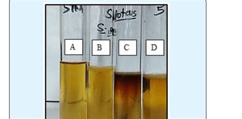 Identification of Pseudomonas pyocyanea by the Oxidase Reaction