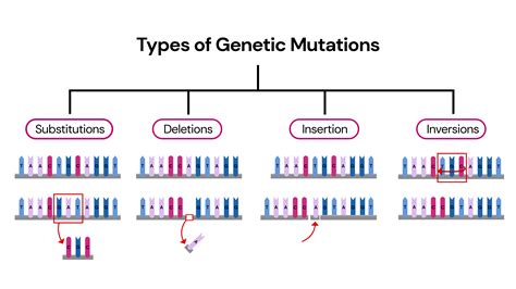 Identification of a new mutation in the gene coding for hairless