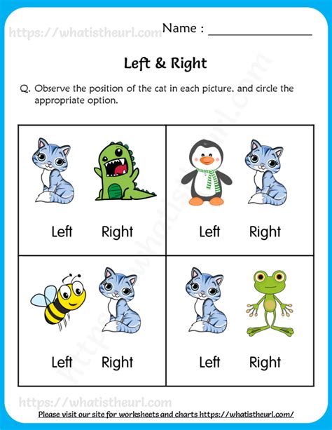 Identify Left & Right Positions For Kindergarten