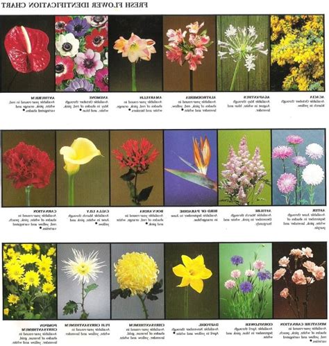 Identify flower. For teachers, community educators, and citizen scientists who want to be able to identify plants they find as well as learn and share information about them, iNaturalist ( iOS, Android) is the app ... 