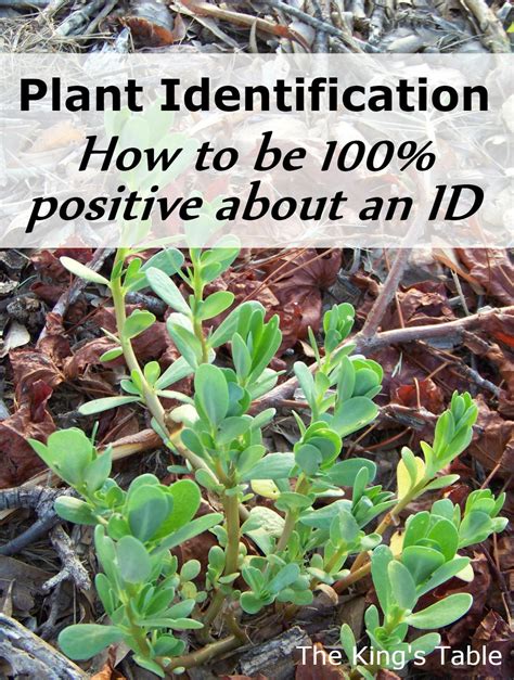 Identify plants by picture. 