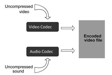 Identify video codec