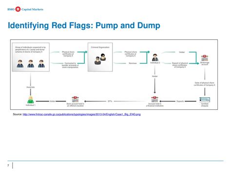 Identifying Red Flags: How to Spot a Pump and Dump Scheme