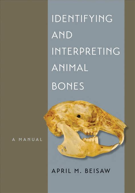 Identifying and interpreting animal bones a manual texas a m. - Diana e kleiner roman architecture a visual guide.