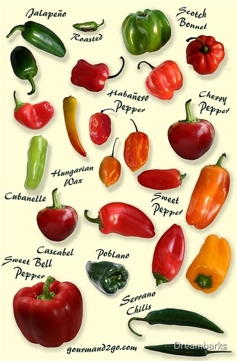Identifying chillies. From fresh, sweet cubanelles to the scorchingly hot Scotch bonnet, chile peppers come in all shapes, sizes, flavors, and levels of heat. Here's our guide to more than 40 varieties. 