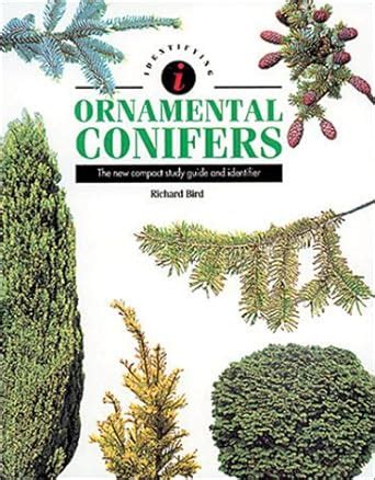 Identifying ornamental conifers the new compact study guide and identifier. - 1998 chevrolet k2500 service repair manual software.