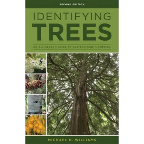Read Online Identifying Trees Of The East An Allseason Guide To Eastern North America By Michael D Williams