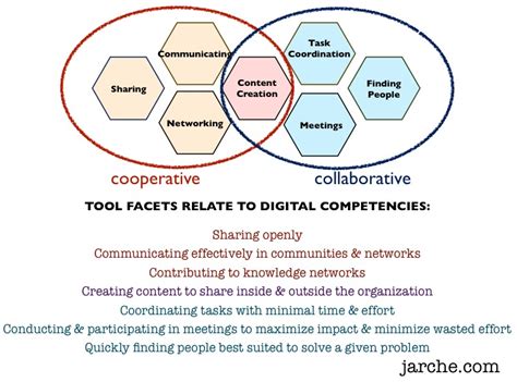 Identity Confirmation Networks and Cooperation in Work …