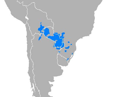 Idioma guarani de donde es. Things To Know About Idioma guarani de donde es. 