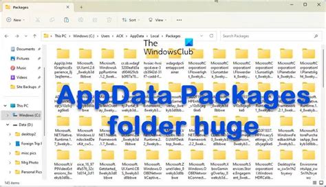 If You Completely Delete The Appdata Roaming Folder Apdata What Is This Folder And Why Is It Needed