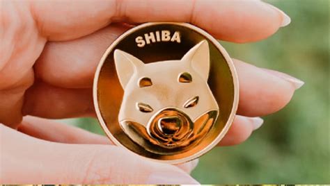 If i invest $100 in shiba inu today. Things To Know About If i invest $100 in shiba inu today. 
