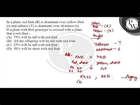 If on a papaya plant totalmath xmlns=http://www.w3.org/1998/Math…