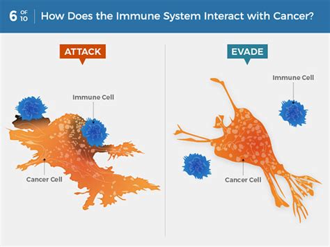 If our immune system kills cancer cells daily, what happens in people that get cancer?