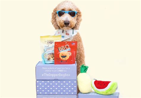 If you want to spoil your dog and are looking for a premium monthly dog subscription box with high quality dog toys and treats, KONG Box is the way to go
