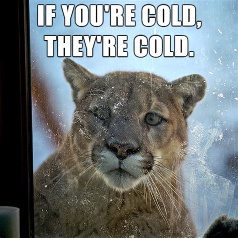 If youre cold theyre cold meme. Things To Know About If youre cold theyre cold meme. 
