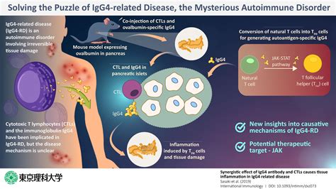 IgG4 immunodeficiency - PubMed