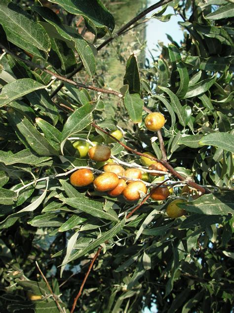 Igdeler Halı ve Koltuk Yıkama