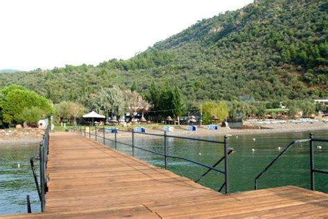 Igdeliburun Halı ve Koltuk Yıkama