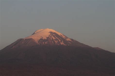Igdir Halı ve Koltuk Yıkama