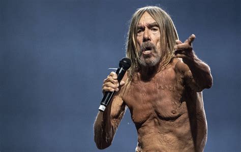 Iggy Pop FAQs 2024