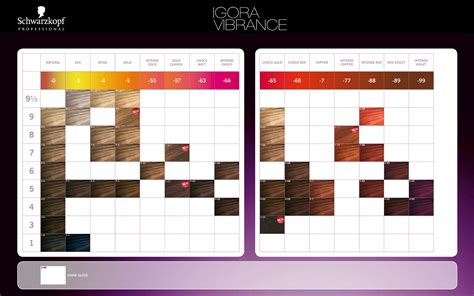 Igora Color 10 Chart