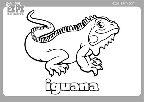 Iguana Coloring Pages Printable Learning How to Read