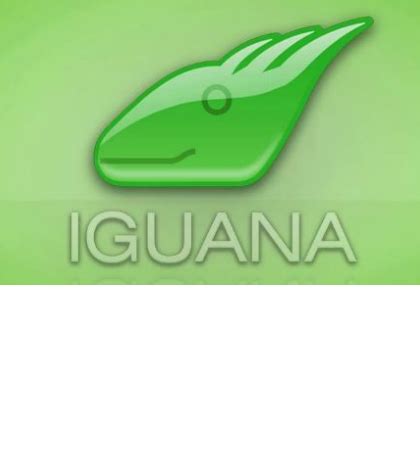 Iguana Interface Engine