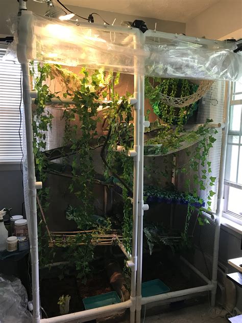 Iguana cage for sale. Reptile Enclosures & Racks. We stock a wide variety of reptile cages including screen, custom wood vivariums with stands, natural glass terrariums, tortoise houses, glass reptile terrariums and many more! 