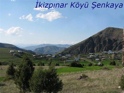Ikizpinar Halı ve Koltuk Yıkama