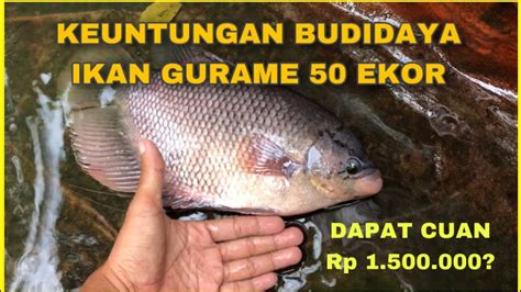 Ikut 3d dari ekor harian. Angka ikan gurame dalam togel. Invest 50 line semua.