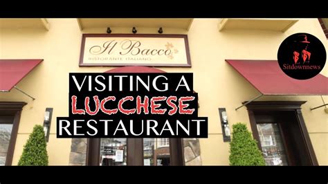 Il Bacco Ristorante Italiano: A fabulous meal at Il Bacco , italian food at its best! - See 130 traveler reviews, 63 candid photos, and great deals for Little Neck, NY, at Tripadvisor.. 
