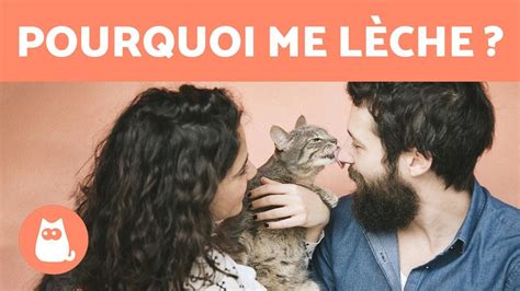 Il lui léche la chatte. Things To Know About Il lui léche la chatte. 