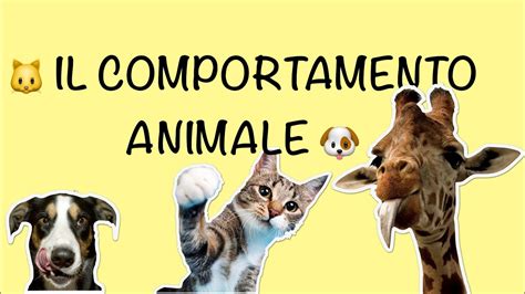 Il manuale dbs del comportamento animale. - Crisis communications the definitive guide to managing the message.